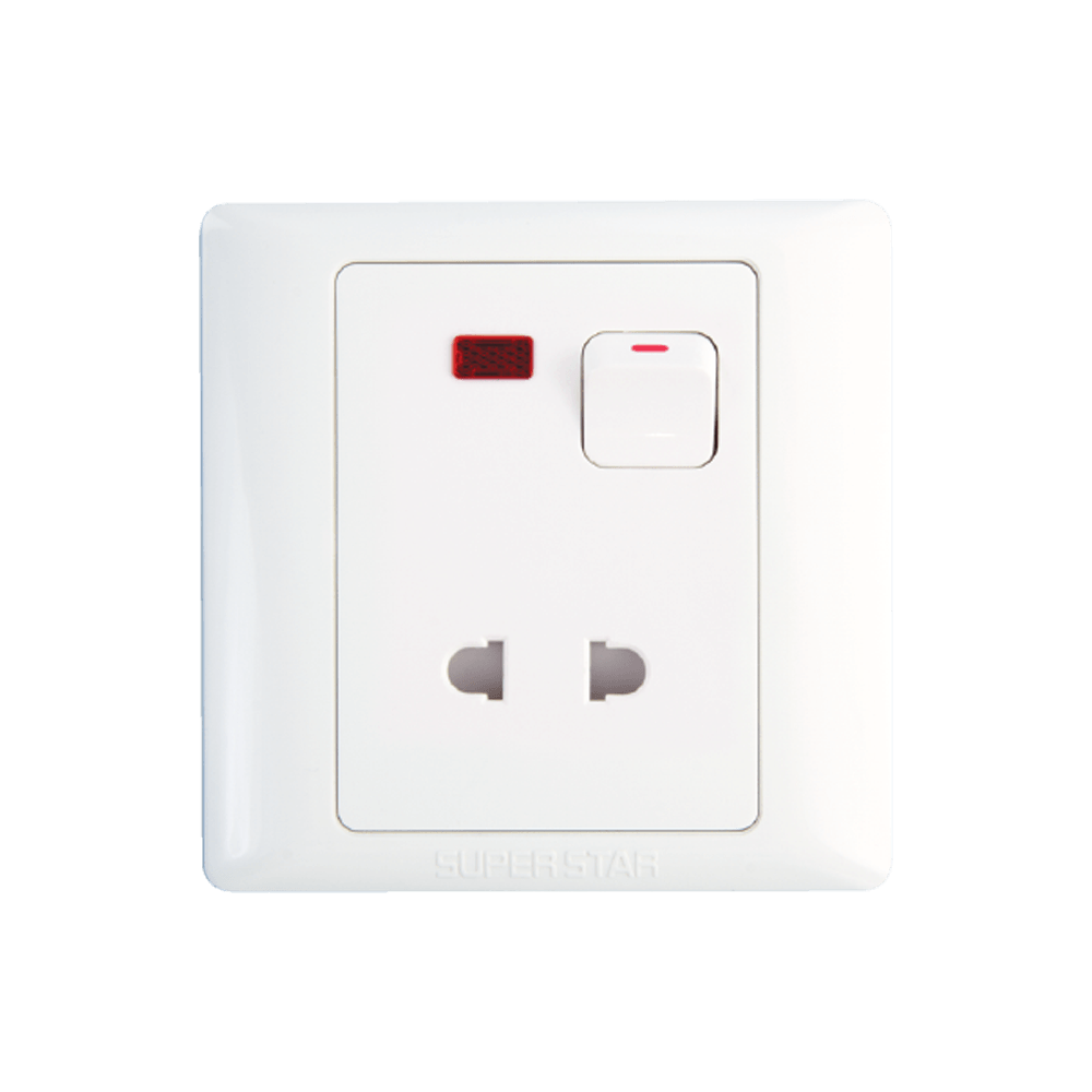 2 pin socket