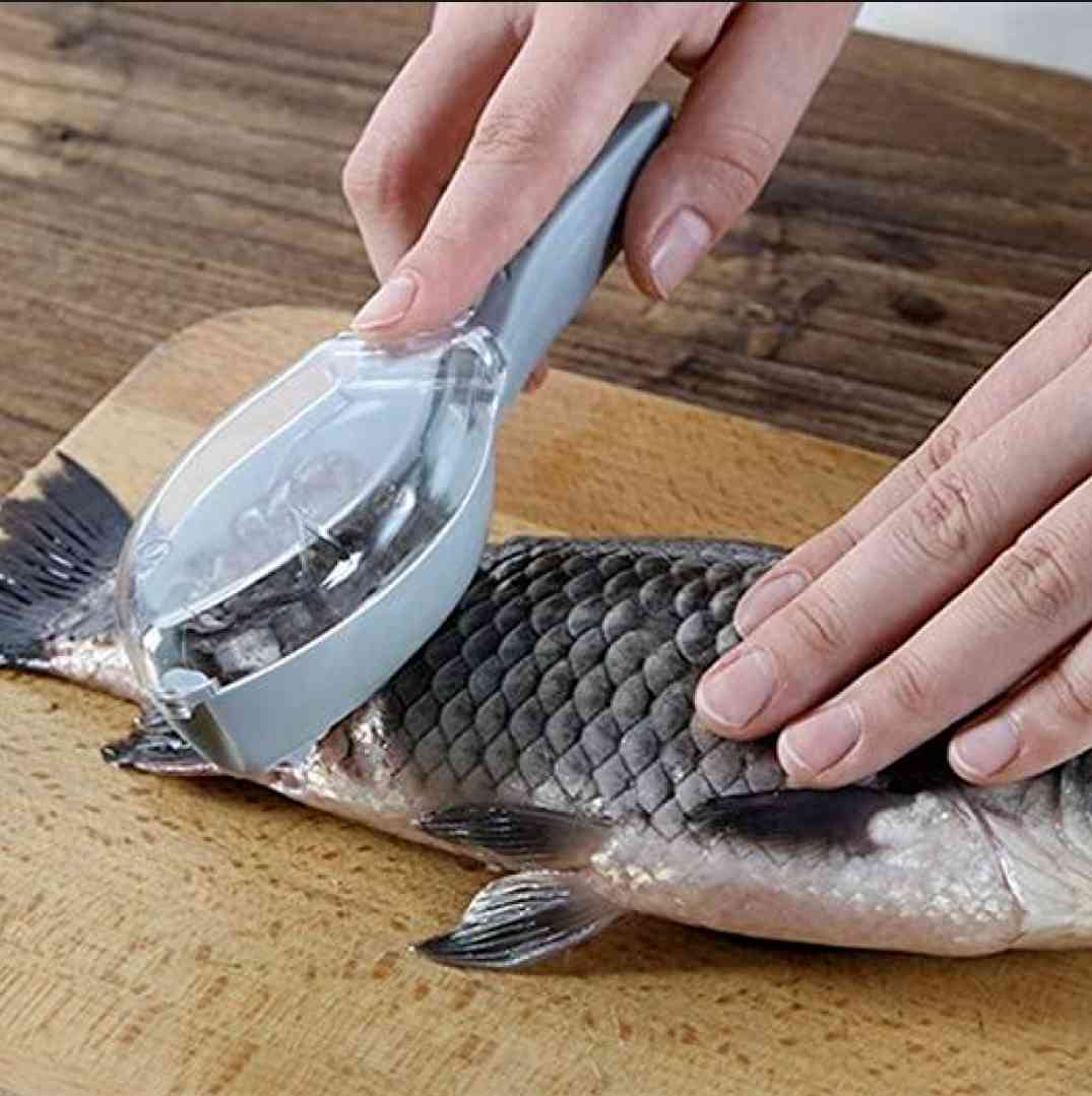 মাছের আশ উঠানো