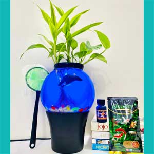 লাকি ব্যাম্ব mini ekorium