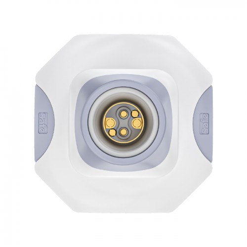 Camellia holder b-22