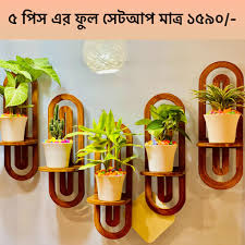 লাকি ব্যাম্ব