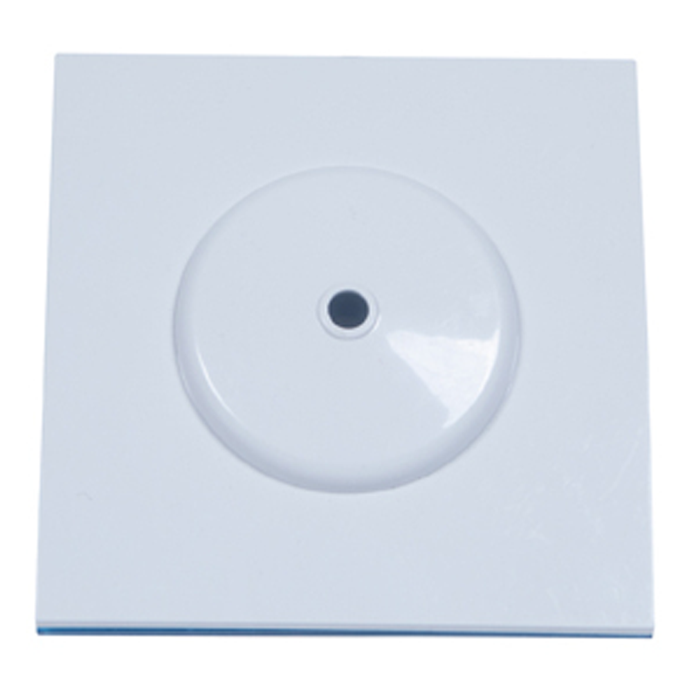 Camellia ceiling rose